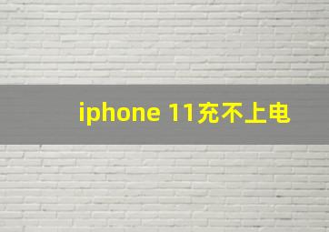 iphone 11充不上电